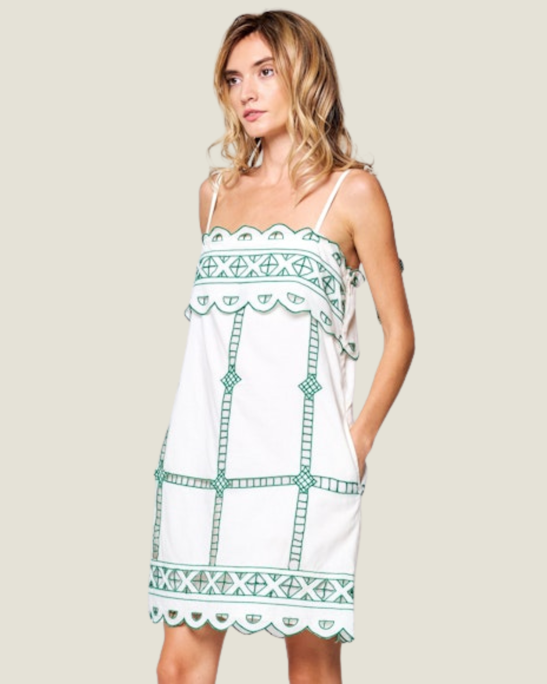 The Winslow: Embroidered Mini Dress