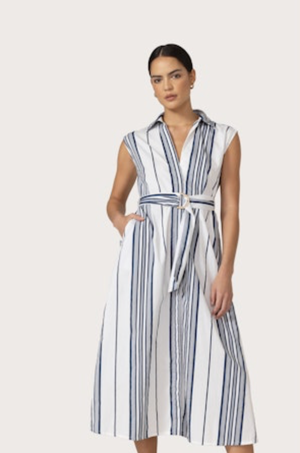 The Lizzy: Belted Poplin Dress