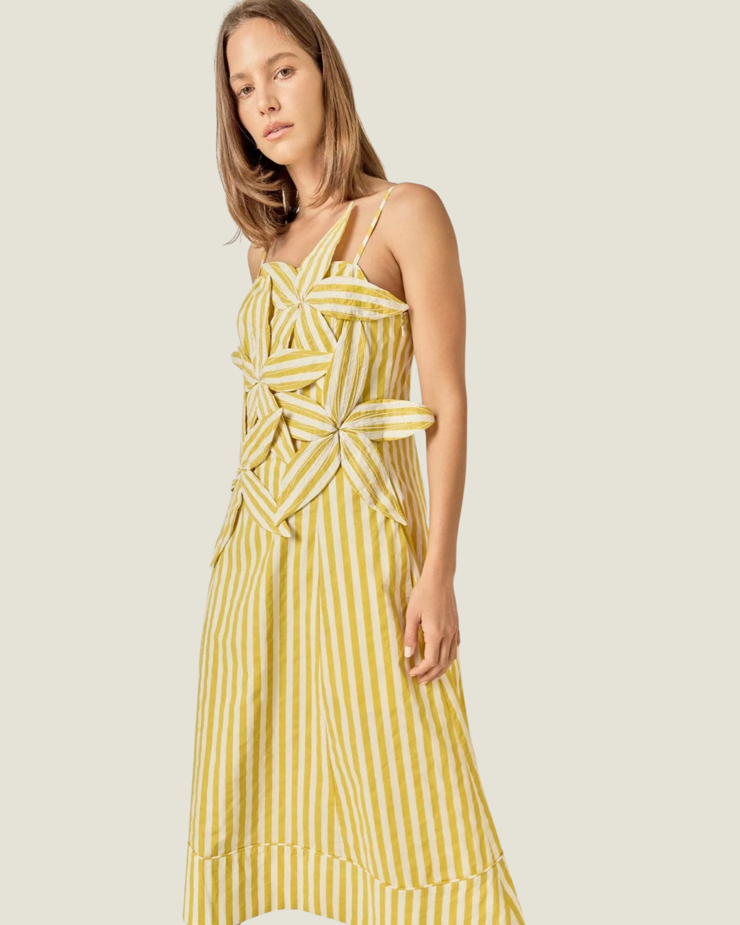 Capri Floral Appliqué Stripe Midi Dress