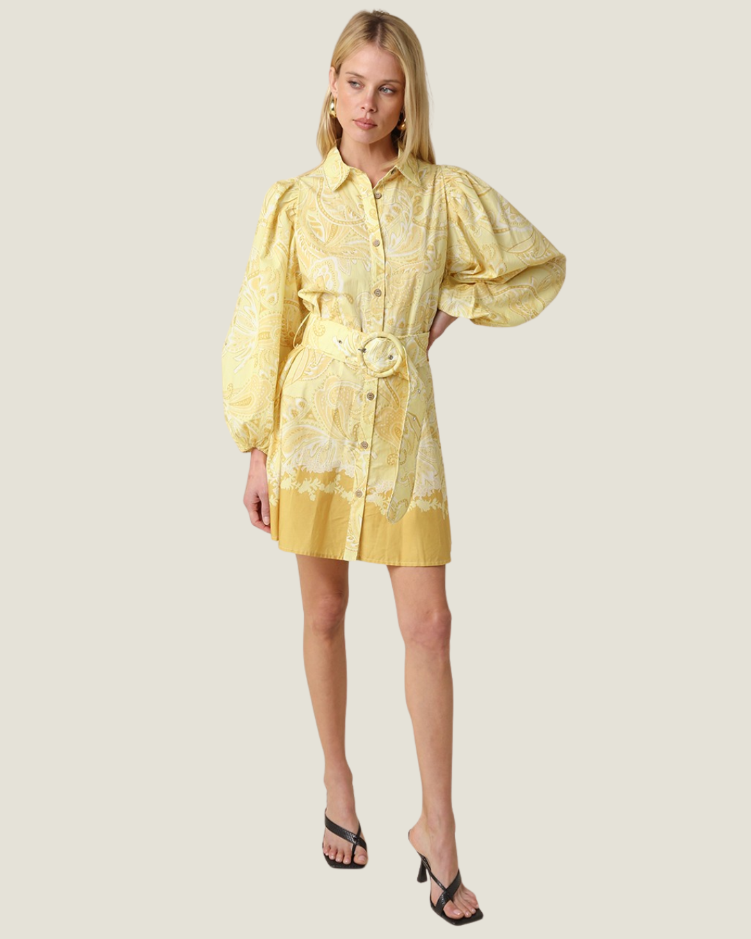 Florence Printed Shirt Mini Dress