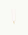 Long Necklace with Oversize Horn Gold