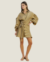 Sierra Collared Mini Dress