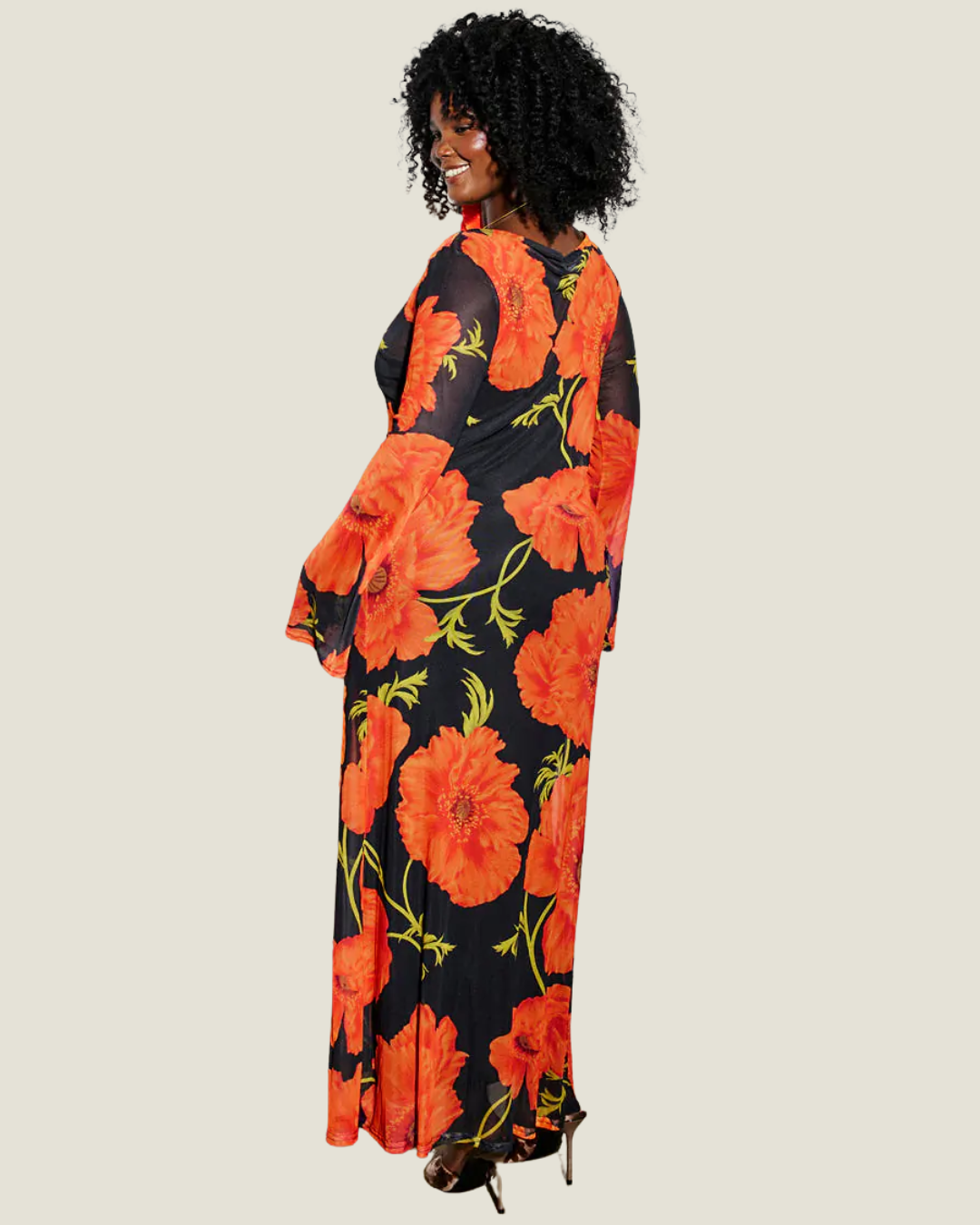 Black Poppy Aria Mesh Dress