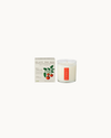 Wild Tomato Vine - Plant the Box Candle