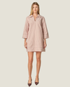 Susan Light Pink & Brown Stripe Collared Mini Dress