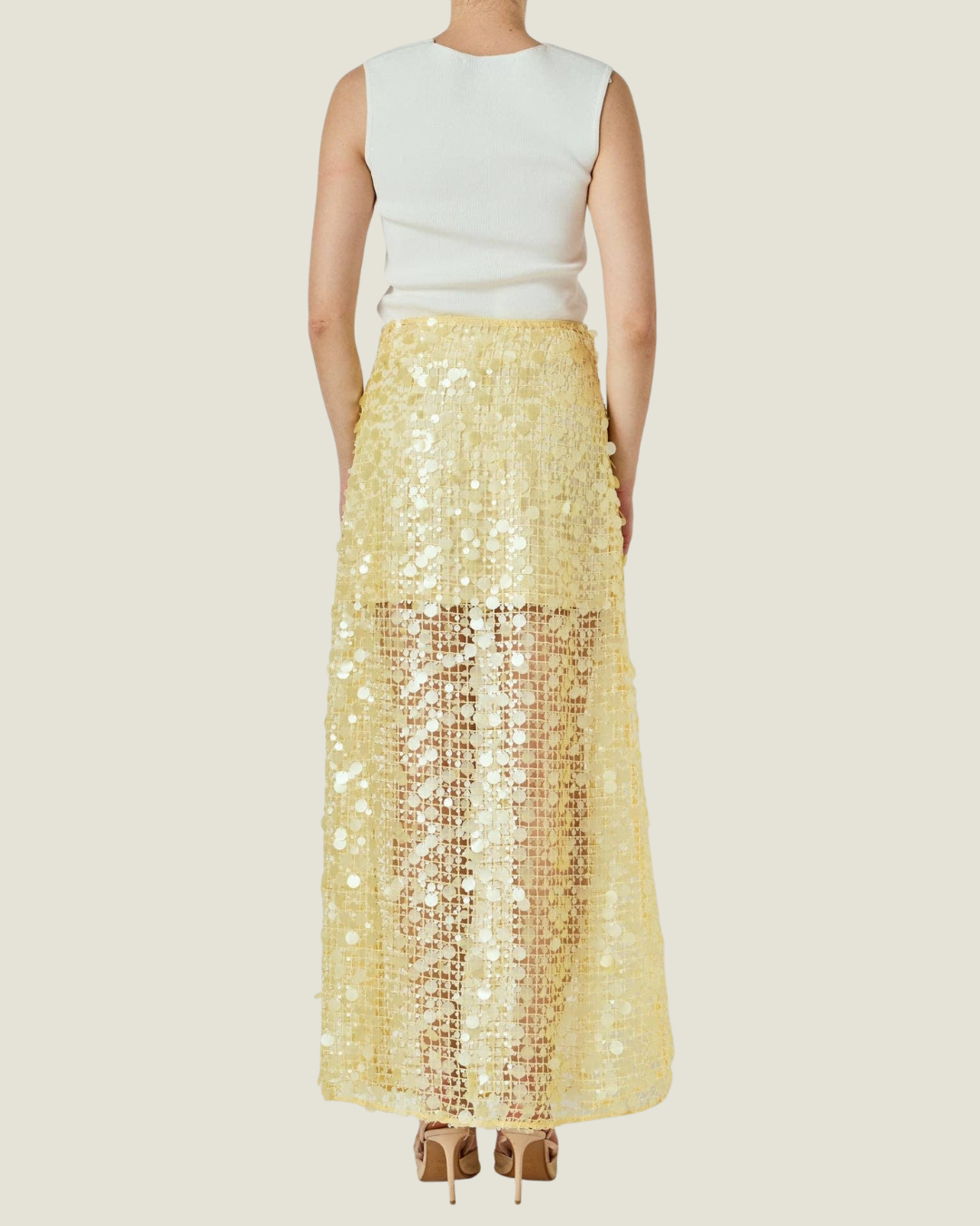 Daphne Sequin Mesh Maxi Skirt