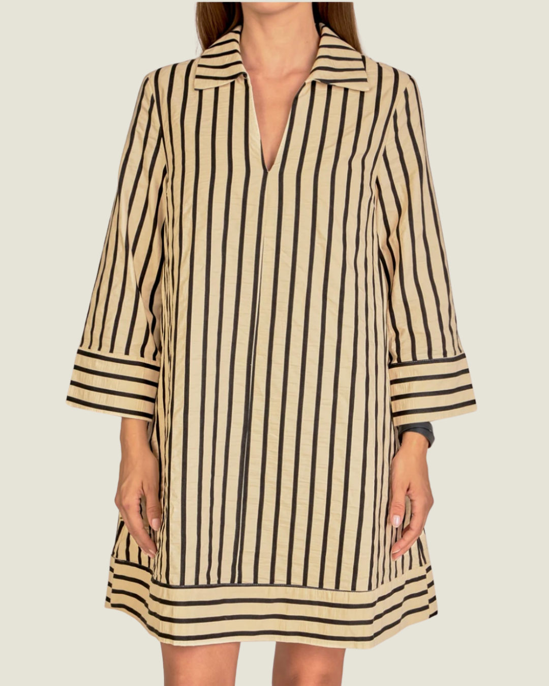 The Judy: Long Sleeve Stripe Collared Mini Dress